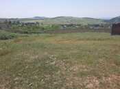 Elan №4389658 - Şamaxı, Şamaxı, 60 sot