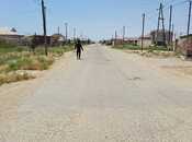 Продаётся  участок 100 сот, пос. Аляты, photo 4 from 8