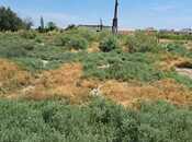 Продаётся  участок 100 сот, пос. Аляты, photo 2 from 8