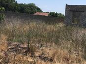 Продаётся  участок 6 сот, Набрань р., photo 4 from 5