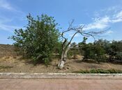 Продаётся  участок 14 сот, пос. Шувеляны, photo 8 from 8