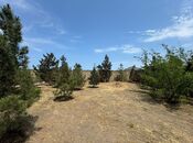 Продаётся  участок 14 сот, пос. Шувеляны, photo 6 from 8