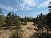 Продаётся  участок 14 сот, пос. Шувеляны, photo 3 from 8