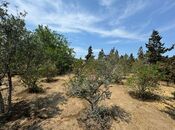 Продаётся  участок 14 сот, пос. Шувеляны, photo 4 from 8