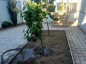 5 otaqlı həyət evi/bağ evi - Nardaran q. - 170 m²