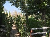 Satılır 10 otaqlı həyət evi/bağ evi 500 m², Nardaran q., photo 5 from 8