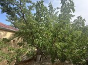 Участок - пос. Мардакан - 18 сот