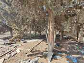 Продаётся  участок 17 сот, пос. Горадил, photo 3 from 8