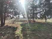 Продаётся  участок 17 сот, пос. Горадил, photo 5 from 8