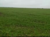 Satılır  torpaq 2 000 sot, photo 3 from 4