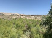 Продаётся  участок 700 сот, Гарадагский р., photo 3 from 8