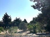 Satılır  torpaq 24 sot, Mərdəkan q., photo 1 from 3