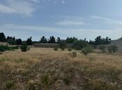 Продаётся  участок 30 сот, пос. Шувеляны, photo 4 from 6