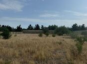 Продаётся  участок 30 сот, пос. Шувеляны, photo 5 from 6