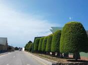 Satılır  torpaq 40 sot, Şüvəlan q., photo 2 from 5