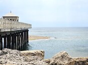 Satılır  torpaq 400 sot, Türkan q., photo 2 from 8