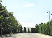 Satılır  torpaq 400 sot, Türkan q., photo 4 from 8