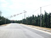 Satılır  torpaq 400 sot, Türkan q., photo 3 from 8