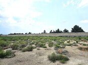 Elan №4501315 - Bakı, Türkan q., 400 sot