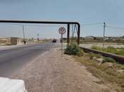 Продаётся  участок 500 сот, пос. Кобу, photo 4 from 5