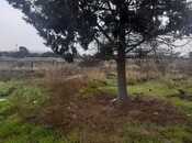 Продаётся  участок 500 сот, пос. Кобу, photo 2 from 5