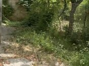 Satılır 3 otaqlı həyət evi/bağ evi 81 m², photo 5 from 8