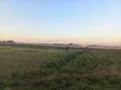 Elan №4529925 - Bakı, Lökbatan q., 360 sot