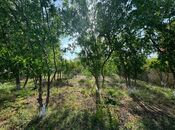 Satılır  torpaq 20 sot, Mərdəkan q., photo 2 from 6