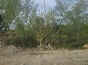 Satılır  torpaq 370 sot, Bülbülə q., photo 7 from 7