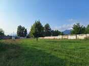 Объявление №4538508 - Габала, Габала, 50 сот