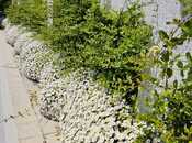 Сдаётся 4-комн. дом/дача 400 м², пос. Нардаран, photo 4 from 8