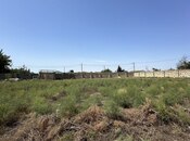 Elan №3908486 - Bakı, Qala q., 22 sot