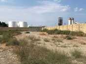 Satılır  torpaq 101 sot, photo 8 from 8