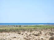 Продаётся  участок 8 000 сот, пос. Зире, photo 3 from 8