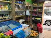 Elan №4575172 - Bakı, İnşaatçılar m., 204 m²