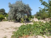 Продаётся 4-комн. дом/дача 300 м², пос. Пиршаги, photo 4 from 8