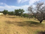 Продаётся  участок 37 сот, пос. Масазыр, photo 2 from 2