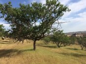 Продаётся  участок 37 сот, пос. Масазыр, photo 1 from 2