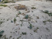 Продаётся 6-комн. дом/дача 150 м², пос. Мардакан, photo 7 from 8