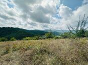 Продаётся  участок 100 сот, photo 8 from 8