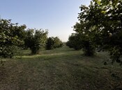 Satılır  torpaq 100 sot, photo 5 from 8