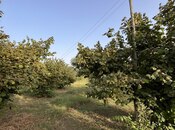 Satılır  torpaq 100 sot, photo 8 from 8