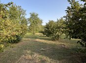 Satılır  torpaq 100 sot, photo 6 from 8