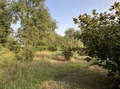 Satılır  torpaq 100 sot, photo 2 from 8