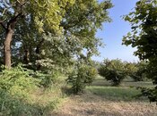 Satılır  torpaq 100 sot, photo 3 from 8