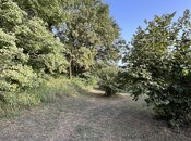 Satılır  torpaq 100 sot, photo 4 from 8