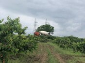 Satılır  torpaq 6.8 sot, photo 6 from 8