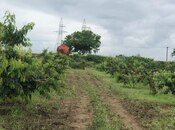 Satılır  torpaq 6.8 sot, photo 7 from 8