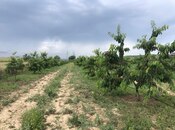 Satılır  torpaq 6.8 sot, photo 8 from 8