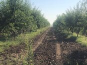 Elan №4613519 - Quba, Quba, 6.8 sot